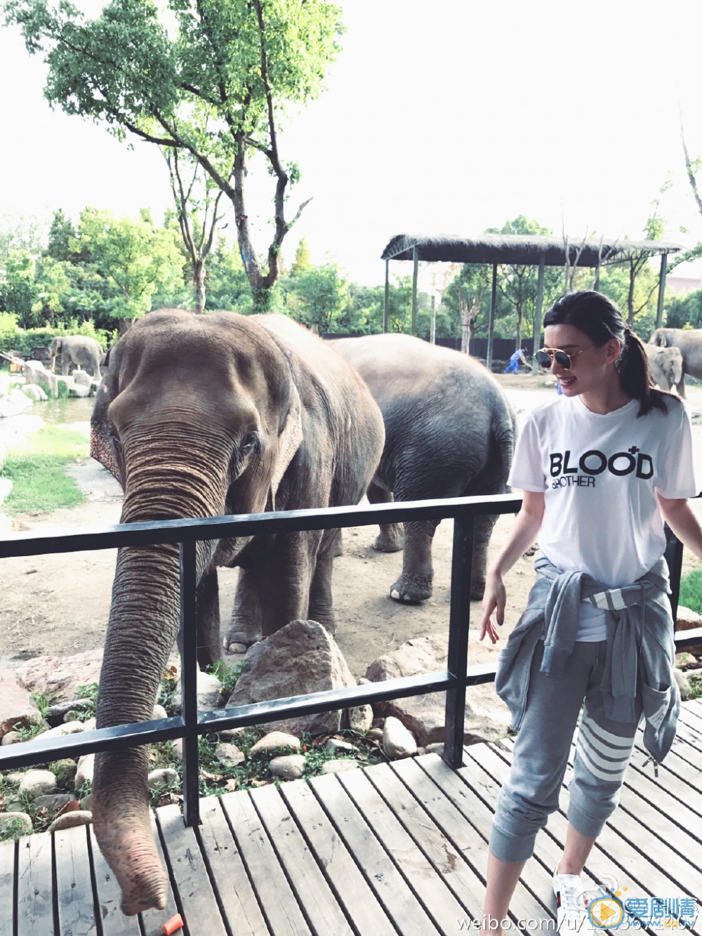 高磊鑫随性旅行照 高磊鑫高清写真_高磊鑫高清剧照
