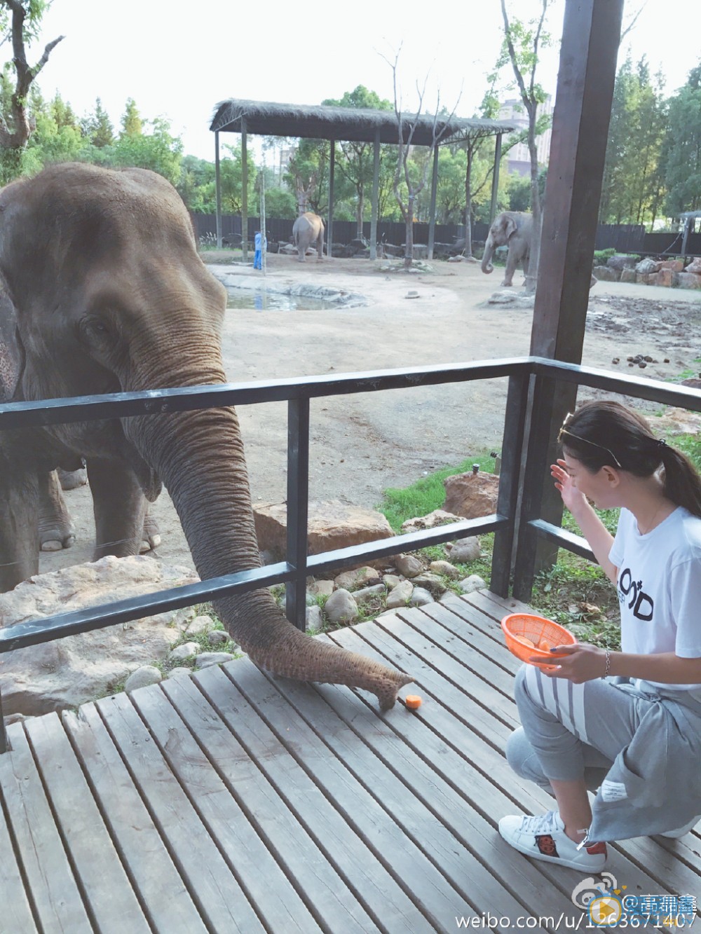 高磊鑫随性旅行照 高磊鑫高清写真_高磊鑫高清剧照