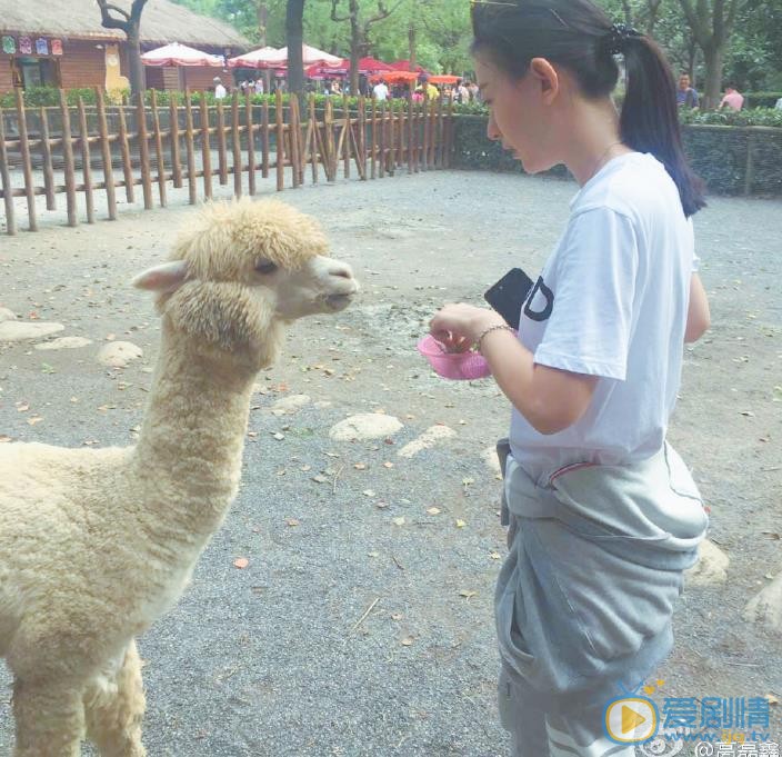 高磊鑫随性旅行照 高磊鑫高清写真_高磊鑫高清剧照