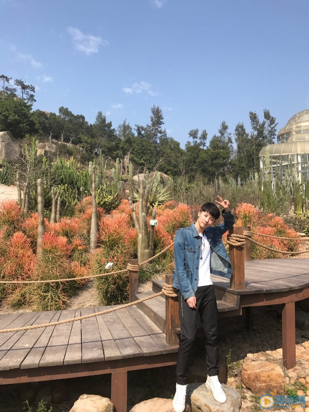 傅晓旅行照