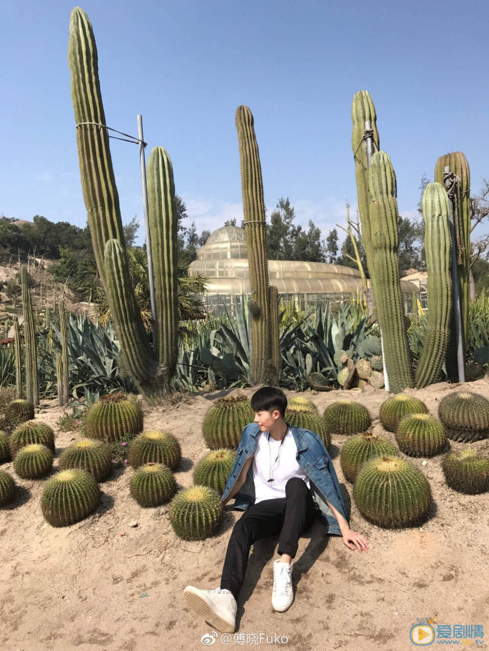 傅晓旅行照 傅晓高清写真_傅晓高清剧照