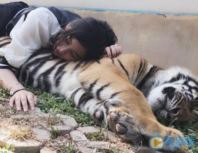 戚蓝尹其他写真 戚蓝尹高清写真_戚蓝尹高清剧照