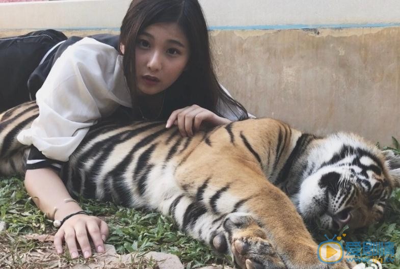 戚蓝尹其他写真 戚蓝尹高清写真_戚蓝尹高清剧照