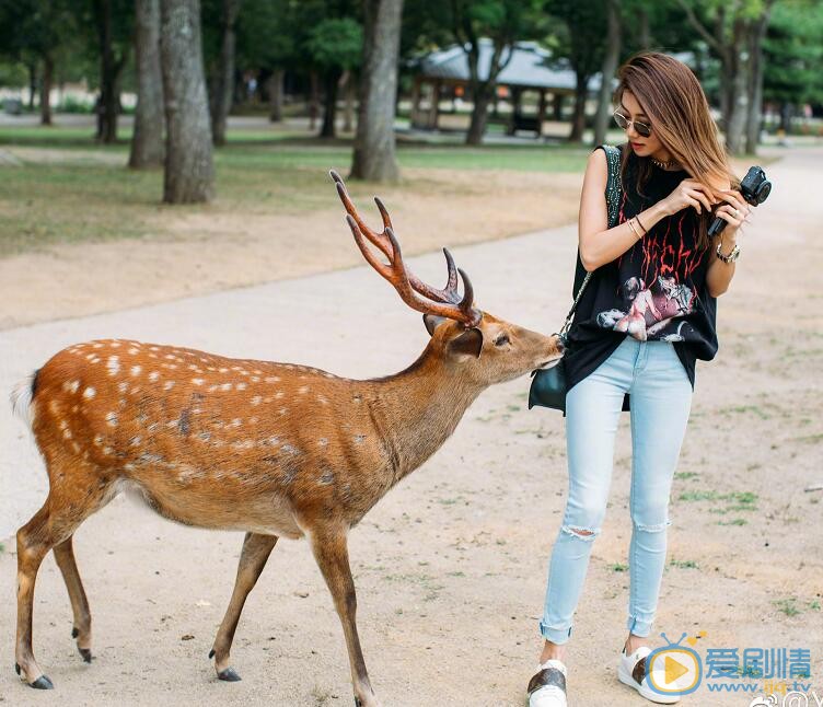 程晓玥街拍写真 程晓玥高清写真_程晓玥高清剧照