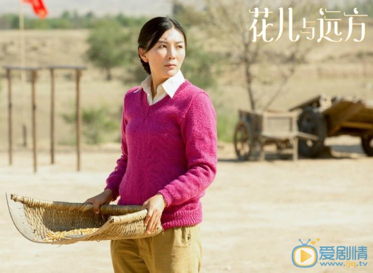 花儿与远方剧情介绍(1-46集大结局)