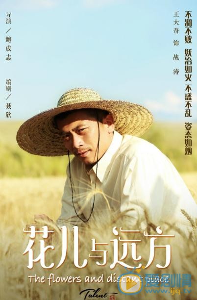 花儿与远方海报