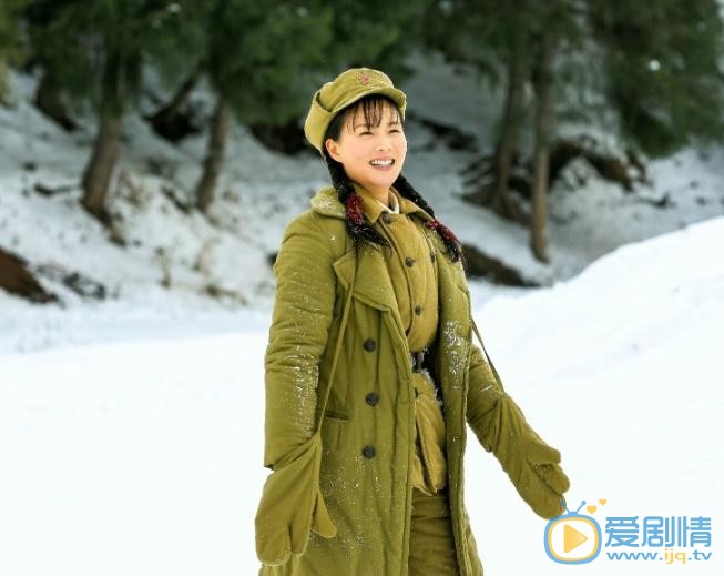 花儿与远方剧情介绍(1-46集大结局)