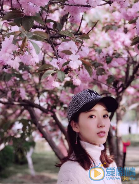 苑乔樱花写真 苑乔高清写真_苑乔高清剧照