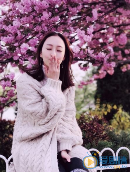 苑乔樱花写真 苑乔高清写真_苑乔高清剧照