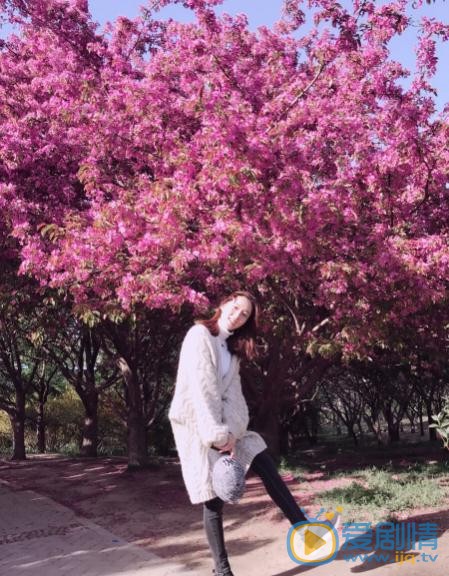 苑乔樱花写真 苑乔高清写真_苑乔高清剧照