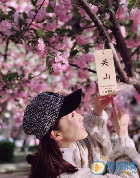 苑乔樱花写真 苑乔高清写真_苑乔高清剧照
