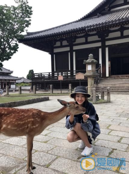 张宇菲旅游照 张宇菲高清写真_张宇菲高清剧照