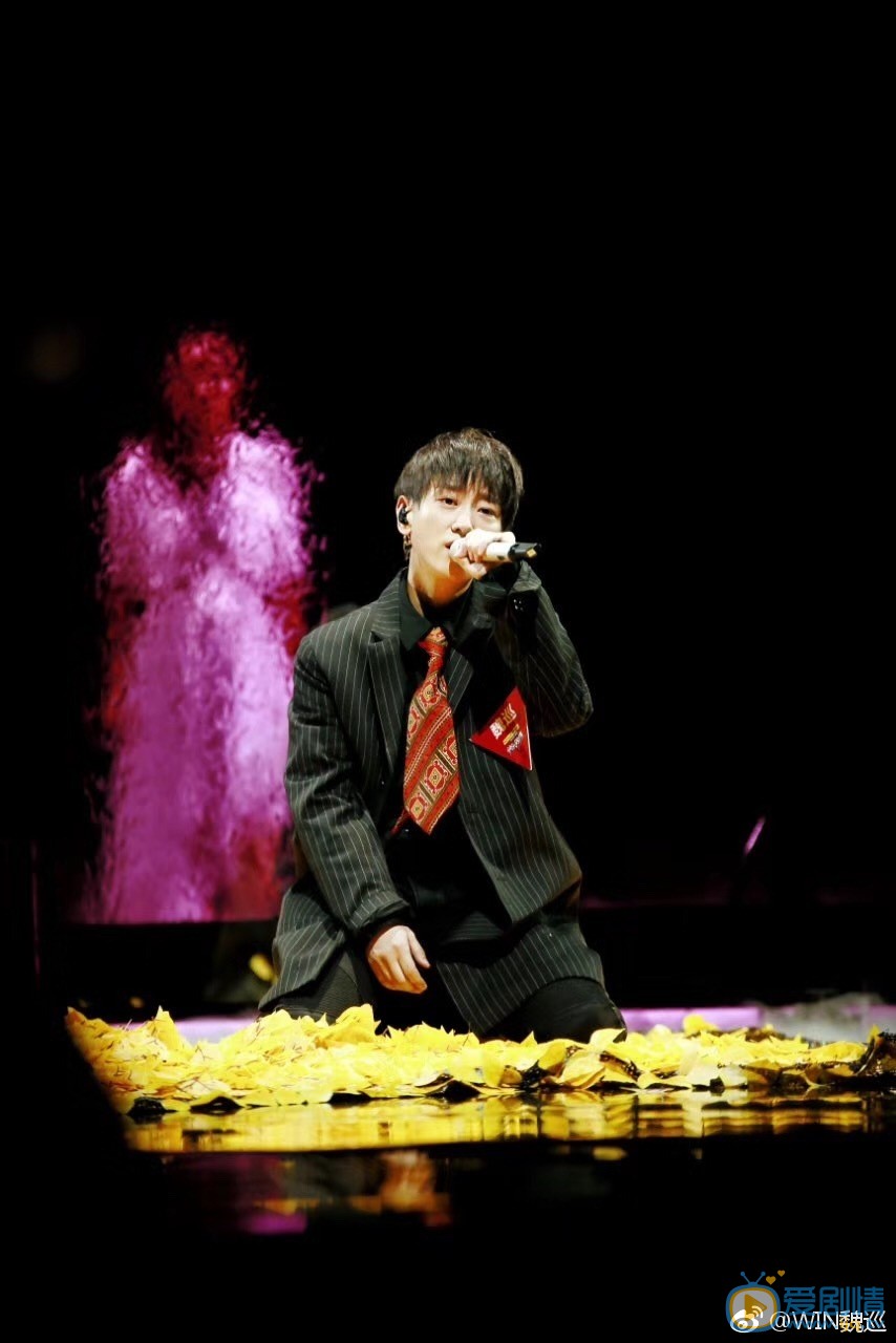 魏巡演唱会 魏巡高清写真_魏巡高清剧照