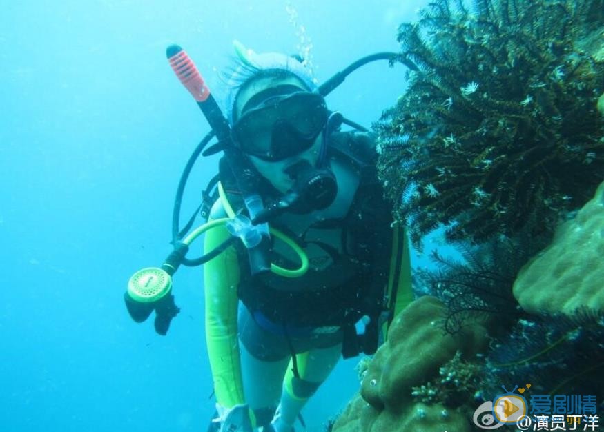 丁洋潜水运动照 丁洋高清写真_丁洋高清剧照