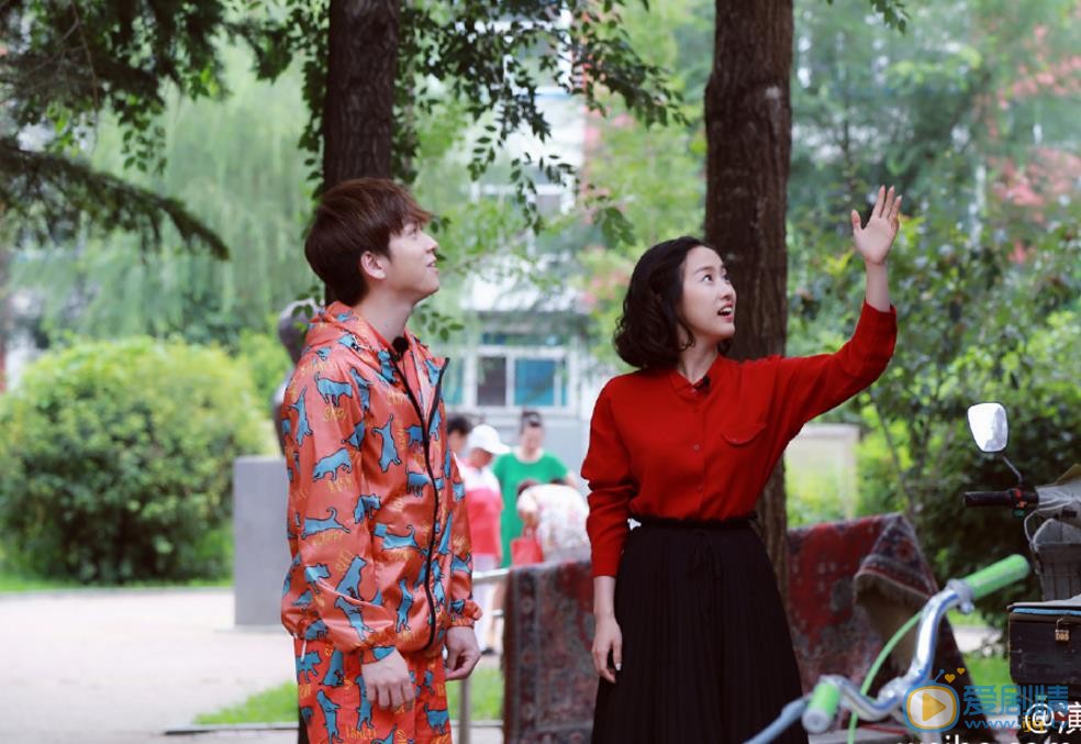 刘美含综艺节目照 刘美含高清写真_刘美含高清剧照