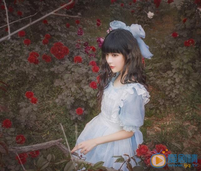 石雪婧爱丽丝写真 石雪婧高清写真_石雪婧高清剧照
