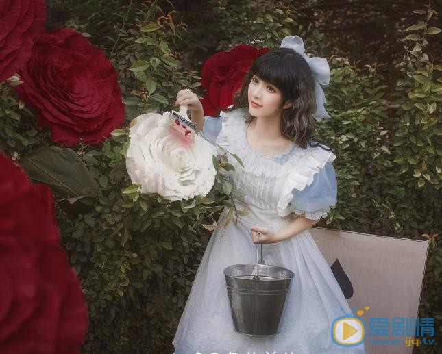 石雪婧爱丽丝写真 石雪婧高清写真_石雪婧高清剧照