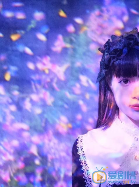 石雪婧爱丽丝写真 石雪婧高清写真_石雪婧高清剧照