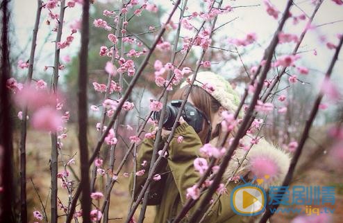 石雪婧红发写真 石雪婧高清写真_石雪婧高清剧照