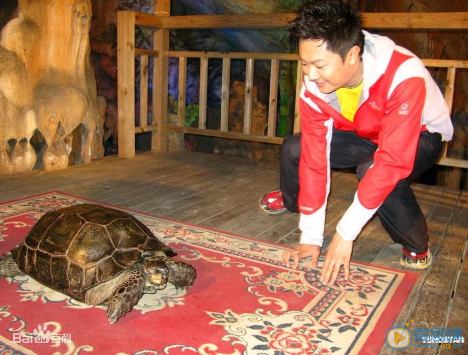 印小天旅行照片 印小天高清写真_印小天高清剧照