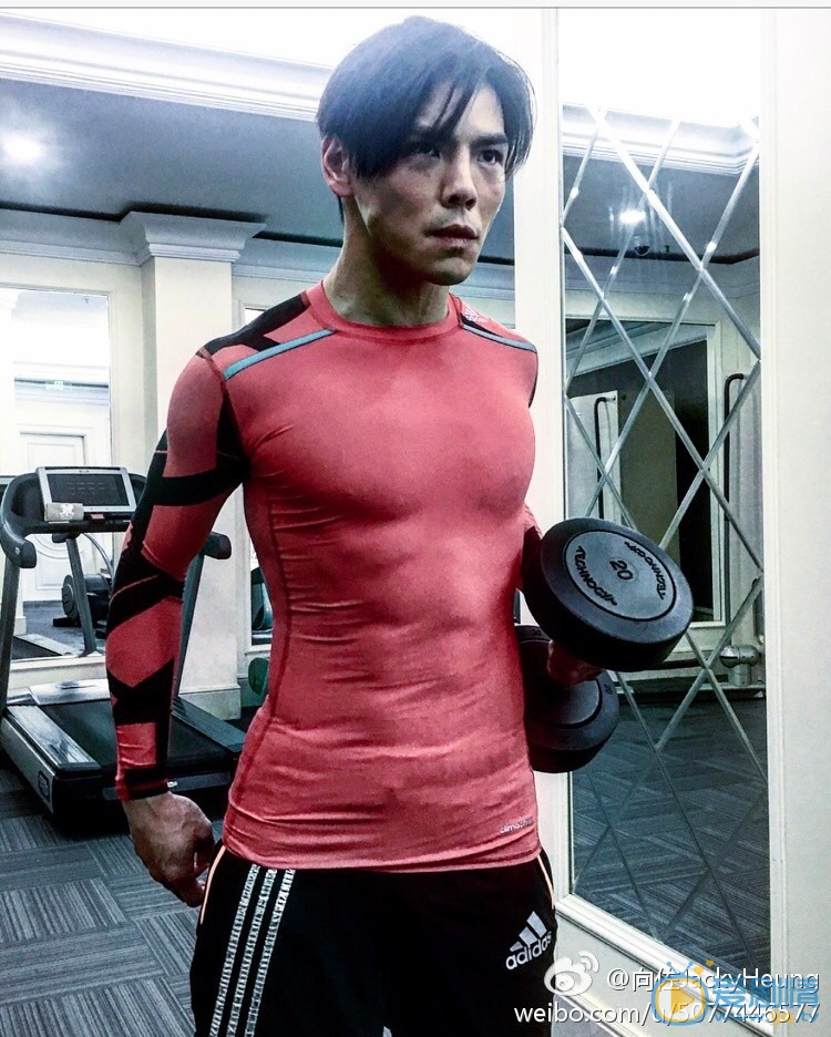 向佐练功照片 向佐高清写真_向佐高清剧照