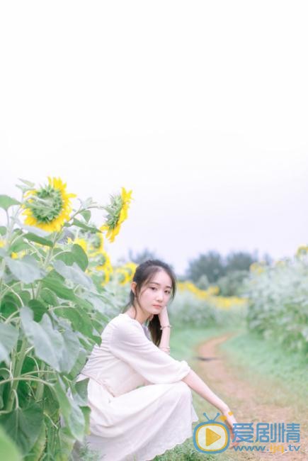 张垚向日葵写真 张垚高清写真_张垚高清剧照