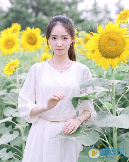 张垚向日葵写真 张垚高清写真_张垚高清剧照