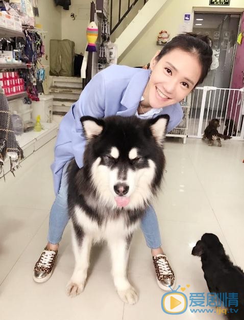徐千京与宠物写真 徐千京高清写真_徐千京高清剧照
