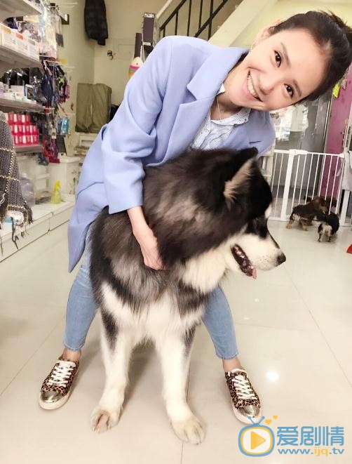 徐千京与宠物写真 徐千京高清写真_徐千京高清剧照