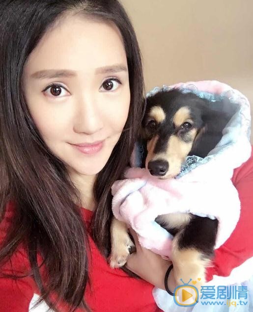 徐千京与宠物写真 徐千京高清写真_徐千京高清剧照