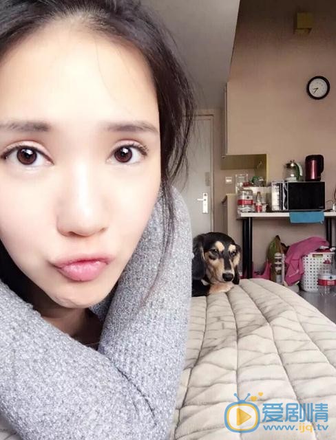 徐千京与宠物写真 徐千京高清写真_徐千京高清剧照