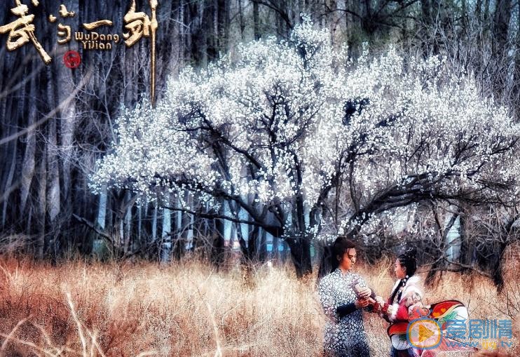 林伊婷《武当一剑》剧照 林伊婷高清写真_林伊婷高清剧照
