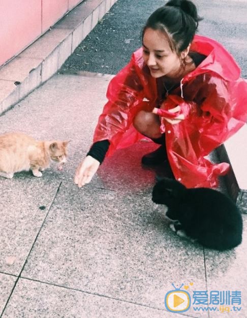 孟子叶动物合照 孟子叶高清写真_孟子叶高清剧照