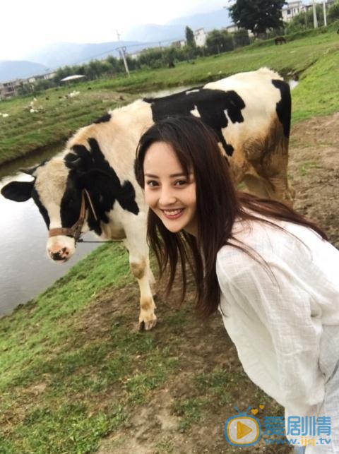 孟子叶动物合照 孟子叶高清写真_孟子叶高清剧照