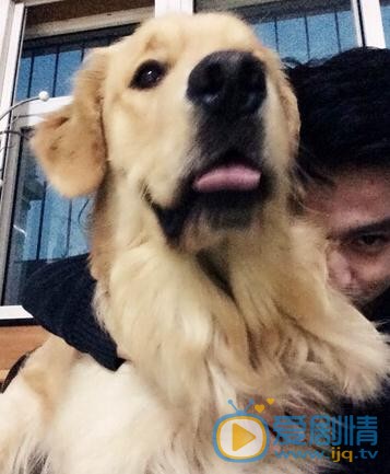 隋柯名与宠物合照 隋柯名高清写真_隋柯名高清剧照