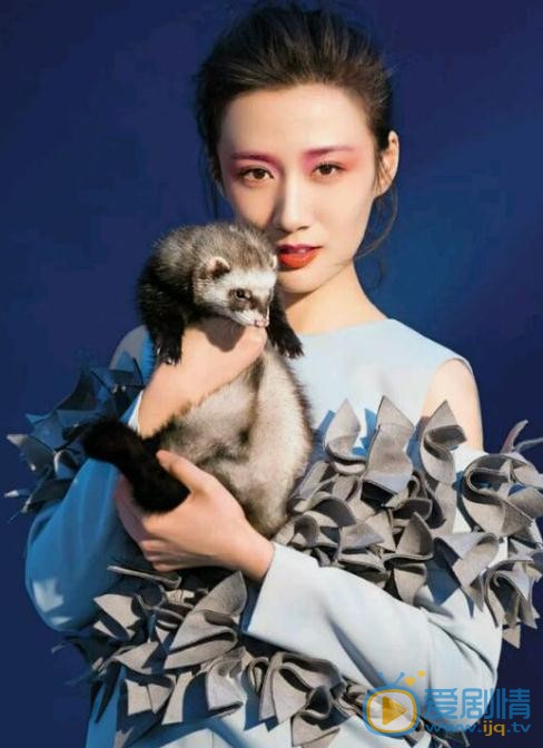 徐悦时尚写真 徐悦高清写真_徐悦高清剧照