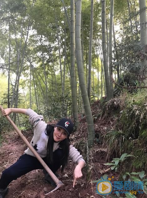 管乐生活照 管乐高清写真_管乐高清剧照