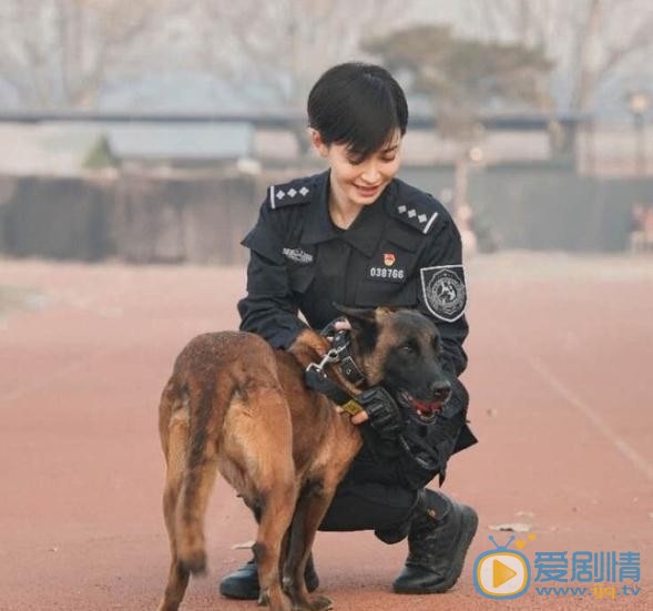 董玥《警花与警犬之再上征程》剧照 董玥高清写真_董玥高清剧照
