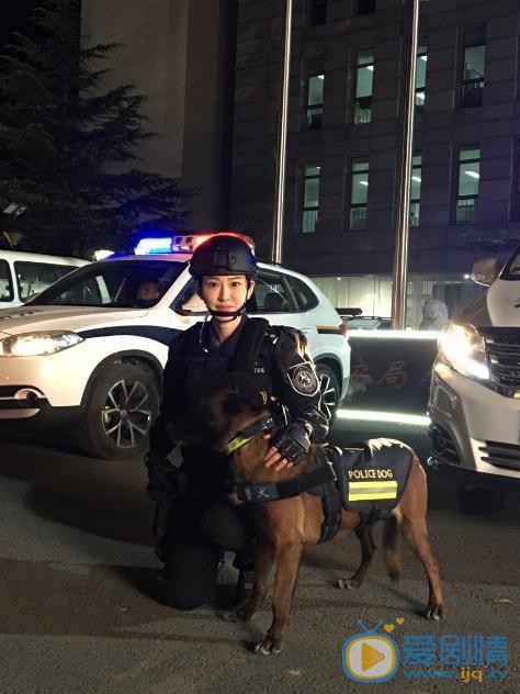 董玥《警花与警犬之再上征程》剧照 董玥高清写真_董玥高清剧照