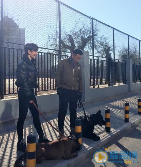 董玥《警花与警犬之再上征程》剧照 董玥高清写真_董玥高清剧照