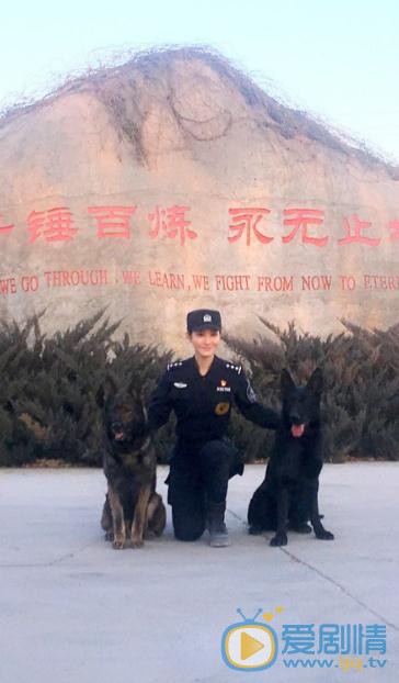 董玥《警花与警犬之再上征程》剧照 董玥高清写真_董玥高清剧照