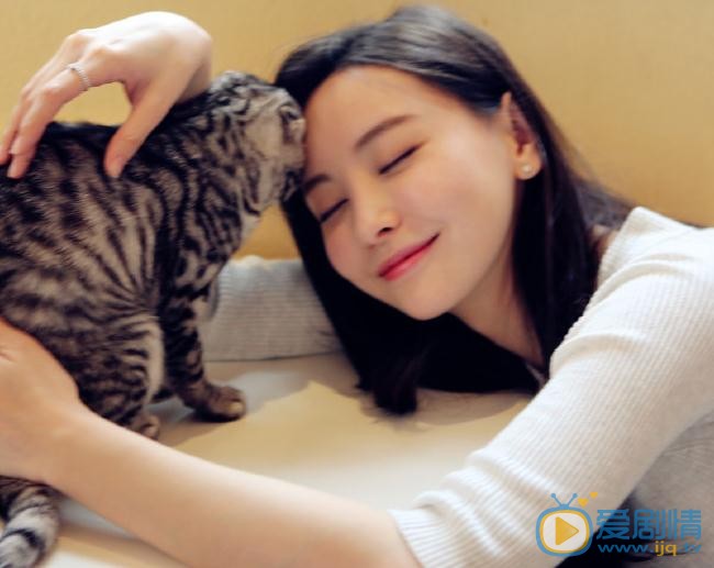 于文文与猫合照 于文文高清写真_于文文高清剧照