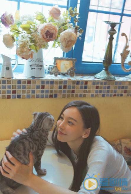 于文文与猫合照 于文文高清写真_于文文高清剧照