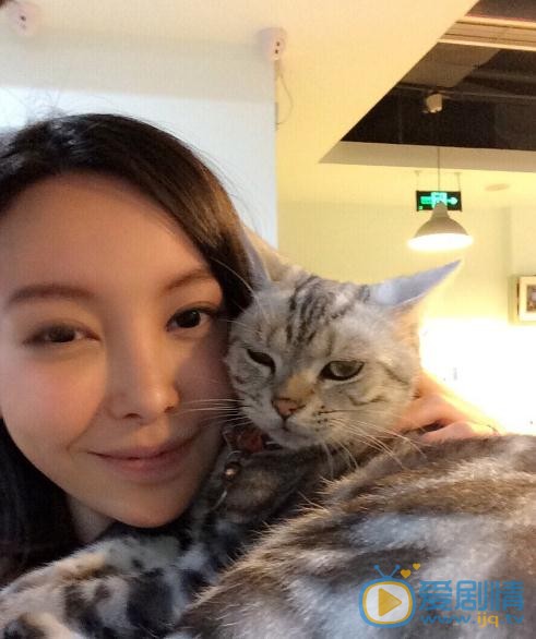 于文文与猫合照 于文文高清写真_于文文高清剧照