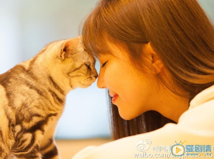 西西弗斯的料理剧情介绍