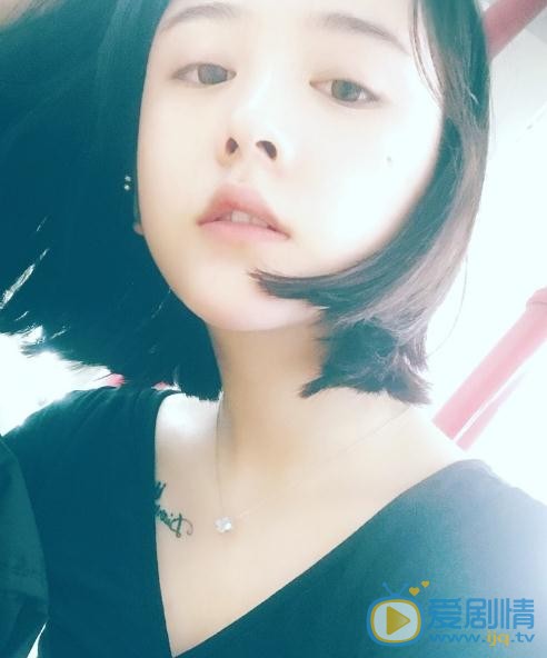 文竹生活照 文竹高清写真_文竹高清剧照