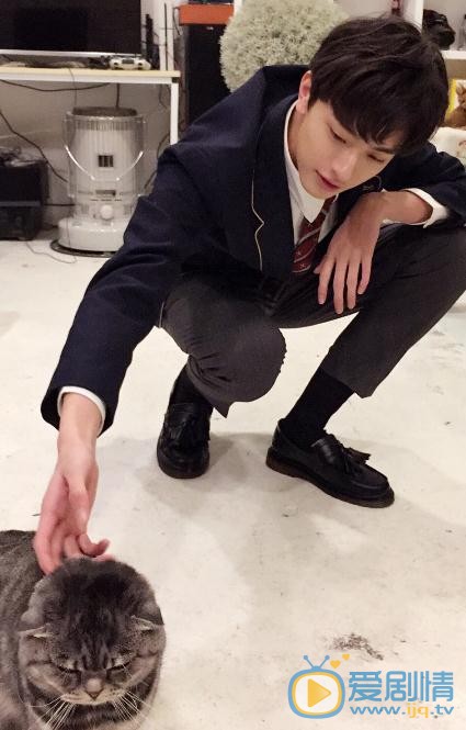 林一与猫咪合照 林一高清写真_林一高清剧照