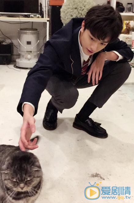 林一与猫咪合照 林一高清写真_林一高清剧照
