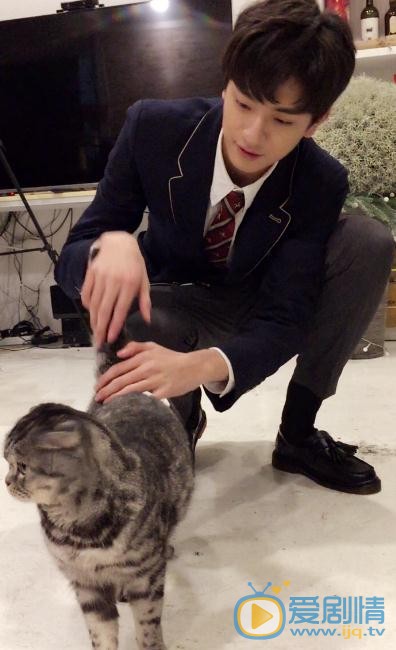林一与猫咪合照 林一高清写真_林一高清剧照
