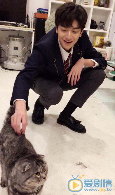 林一与猫咪合照 林一高清写真_林一高清剧照